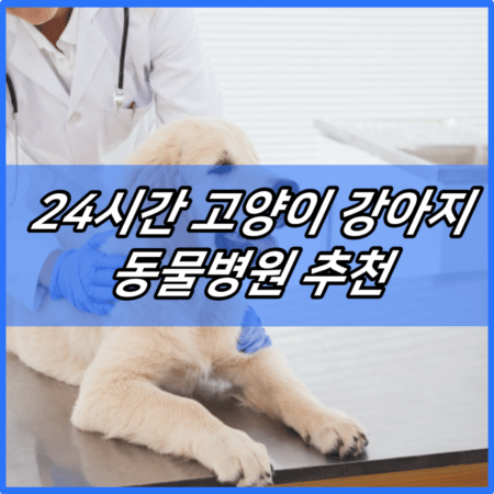 24시간 고양이 강아지 동물병원 추천