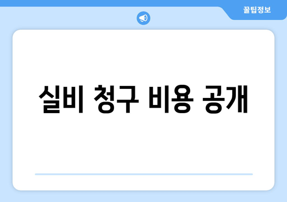 실비 청구 비용 공개