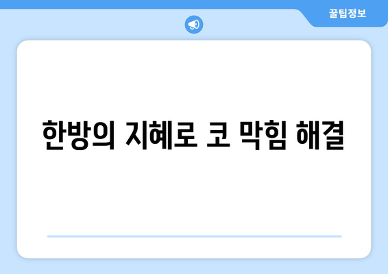 한방의 지혜로 코 막힘 해결