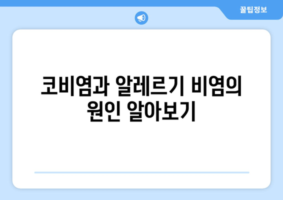 코비염과 알레르기 비염의 원인 알아보기