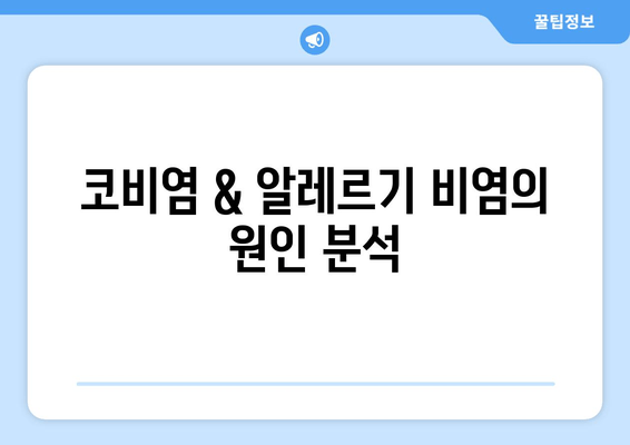 코비염 & 알레르기 비염의 원인 분석