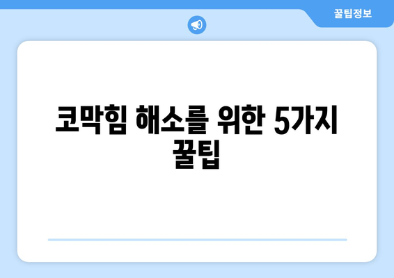 코막힘 해소를 위한 5가지 꿀팁