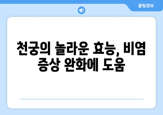 천궁차, 환절기 비염 잡는 한방 비법 | 천궁 효능, 비염 예방, 환절기 건강