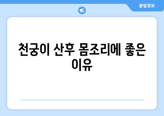 천궁| 산후 몸조리, 한약으로 건강하게 회복하기 | 산후 회복, 한방, 천궁 효능, 처방