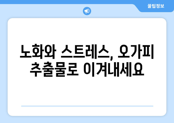 오가피 추출물의 신경 보호 효과| 신경 손상 예방을 위한 과학적 근거 | 오가피, 신경 보호, 신경 손상, 천연 추출물, 건강