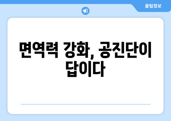 공진단 효능과 효과, 꼭 알아두세요! | 건강, 피로 회복, 면역력, 체력 증진