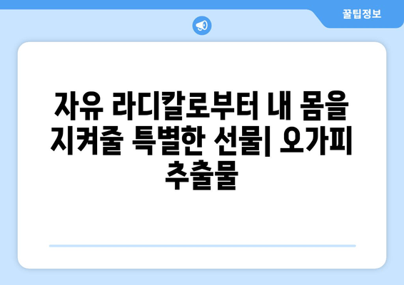 오가피 추출물의 강력한 항산화 효과| 자유 라디칼로부터 건강 지키기 | 항산화, 자유 라디칼 제거, 오가피 효능, 건강 관리