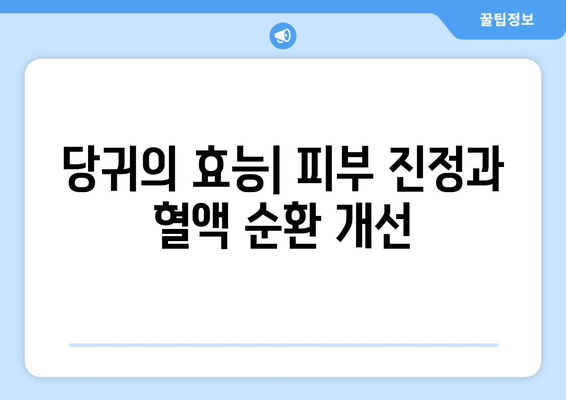 안면 홍조와 피부 발적 완화에 효과적인 미용 허브, 당귀| 효능과 활용법 | 당귀, 안면 홍조, 피부 발적, 미용, 허브