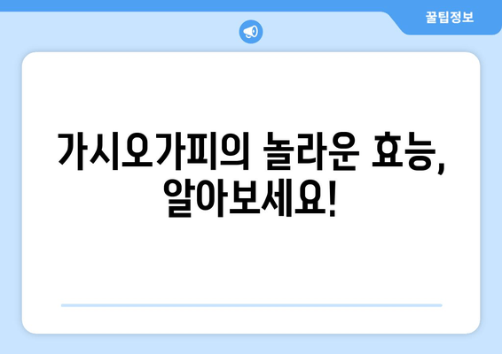 가시오가피, 임산부와 수유부에게 안전할까요? | 가시오가피 효능, 부작용, 주의사항