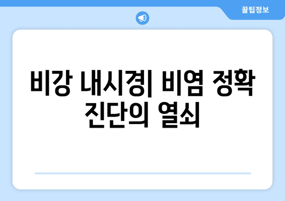 비강 내시경| 비염 정확 진단의 열쇠