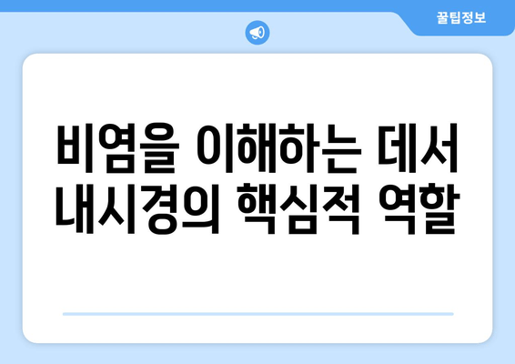 비염을 이해하는 데서 내시경의 핵심적 역할