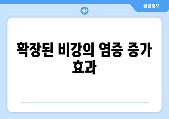 확장된 비강의 염증 증가 효과