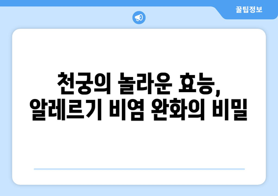 천궁| 알레르기 비염 완화 효과, 한약재의 놀라운 비밀 | 천궁 효능, 알레르기 비염 치료, 한약