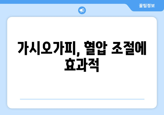 가시오가피가 심혈관 건강을 지키는 5가지 이유 | 건강, 심혈관 질환, 천연 약재, 가시오가피 효능