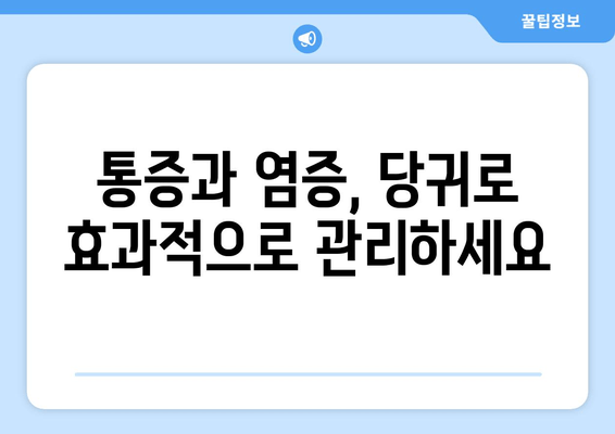 당귀| 통증 완화와 항염증 효과를 위한 자연 치유제 | 천연 약초, 건강, 통증 관리, 염증 완화