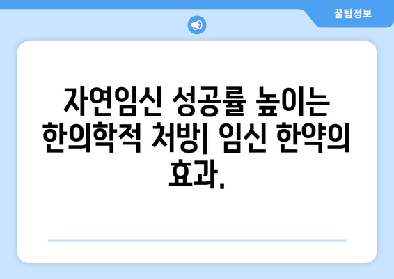 임신 한약| 배란 장애 극복과 착상 성공 위한 맞춤 가이드 | 불임, 난임, 한의학, 자연임신