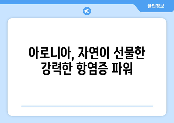 아로니아 추출물의 놀라운 항염증 효과| 건강을 지키는 자연의 선물 | 아로니아, 항염증, 건강, 효능, 면역