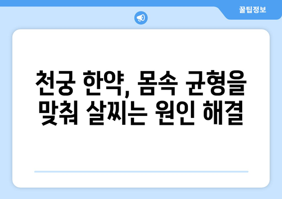 천궁 다이어트 한약, 건강하게 살 빼는 비결 | 천궁, 다이어트, 한약, 건강, 체중 감량