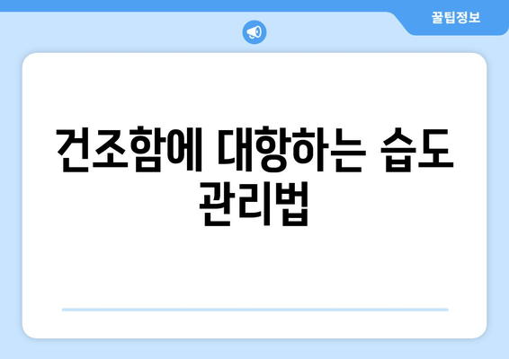 건조함에 대항하는 습도 관리법