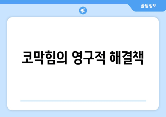 코막힘의 영구적 해결책