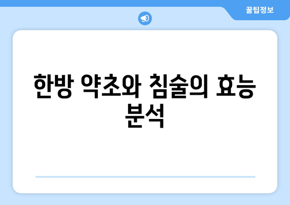 한방 약초와 침술의 효능 분석