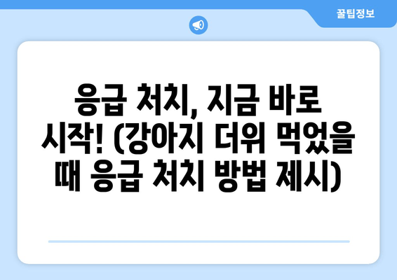 응급 처치, 지금 바로 시작! (강아지 더위 먹었을 때 응급 처치 방법 제시)