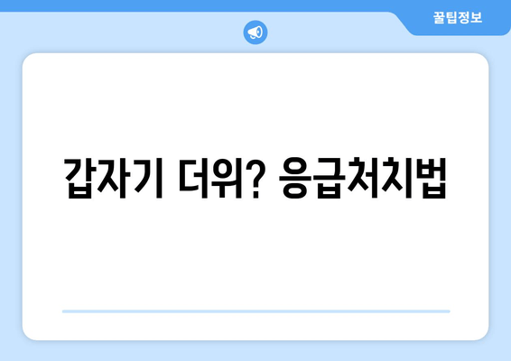 갑자기 더위? 응급처치법