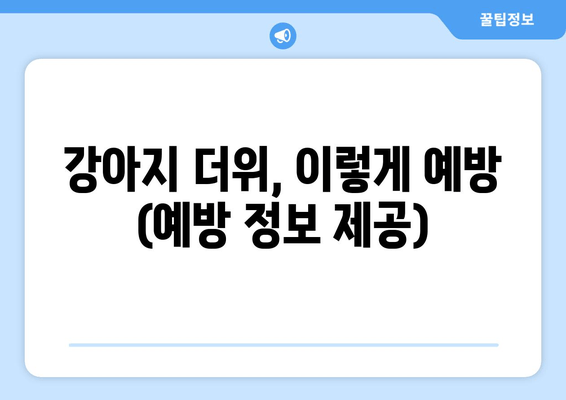 강아지 더위, 이렇게 예방 (예방 정보 제공)