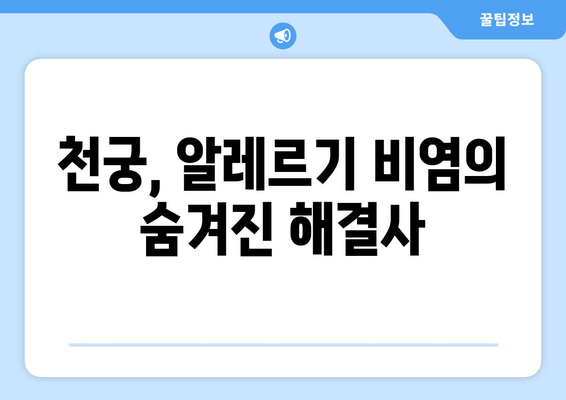 천궁| 알레르기 비염 완화 효과, 한약재의 놀라운 비밀 | 천궁 효능, 알레르기 비염 치료, 한약