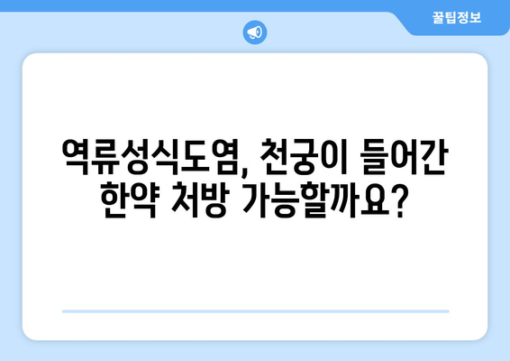 천궁, 역류성식도염 완화에 효과적인 한약? | 천궁 효능, 역류성식도염 증상 완화, 한약 처방