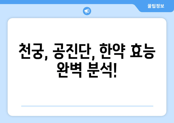 천궁| 각종 공진단 한약의 효능과 효과 완벽 분석 | 천궁 효능, 공진단 효과, 한약 효능, 건강 정보