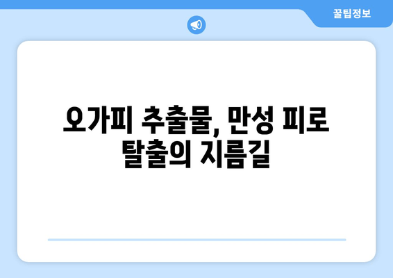 만성 피로 증후군 극복을 위한 오가피 추출물의 효능과 활용법 | 피로 회복, 면역력 강화, 오가피 효능