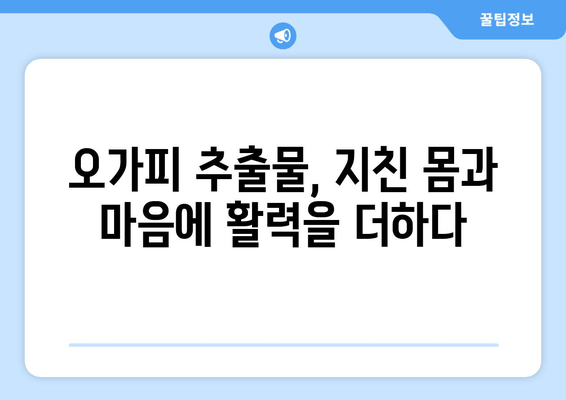 오가피 추출물로 피로를 이겨내고 활력을 되찾는 5가지 방법 | 피로 회복, 활력 증진, 건강 식품, 자연 치유