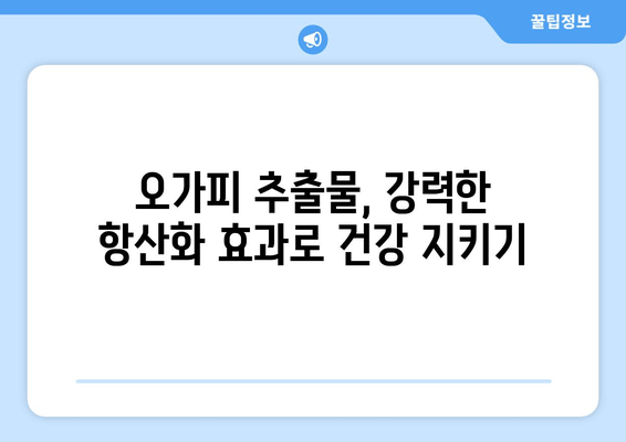 오가피 추출물의 강력한 항산화 효과| 자유 라디칼로부터 건강 지키기 | 항산화, 자유 라디칼 제거, 오가피 효능, 건강 관리