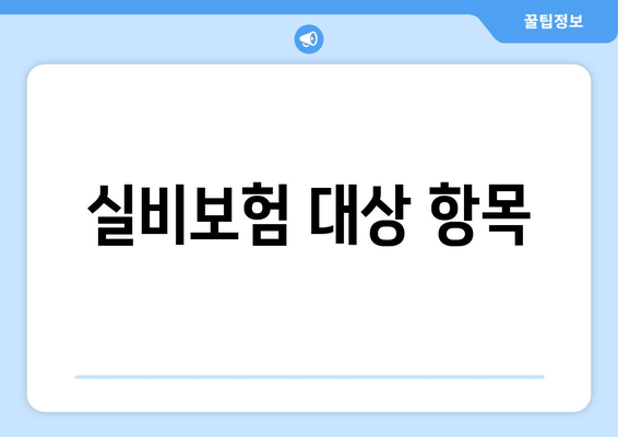 실비보험 대상 항목