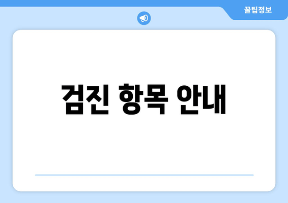 검진 항목 안내