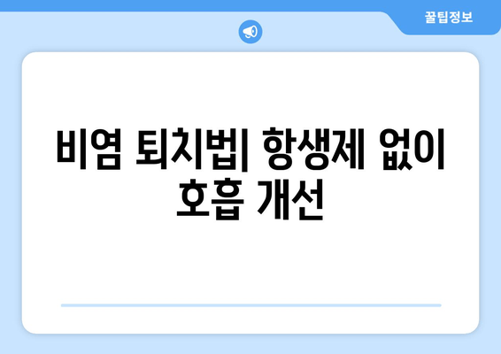 비염 퇴치법| 항생제 없이 호흡 개선