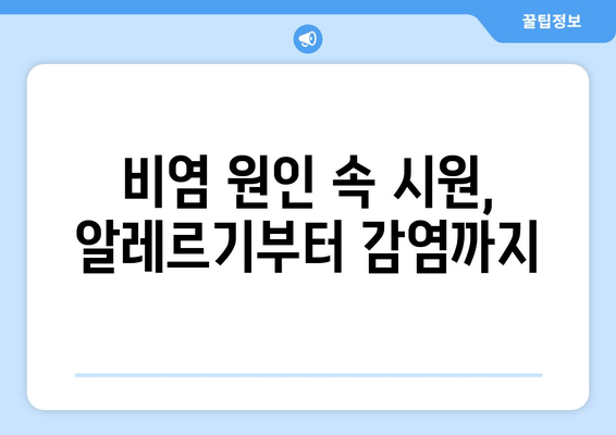 비염 원인 속 시원, 알레르기부터 감염까지