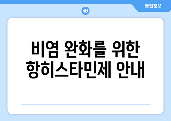 비염 완화를 위한 항히스타민제 안내