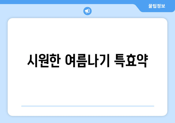 시원한 여름나기 특효약