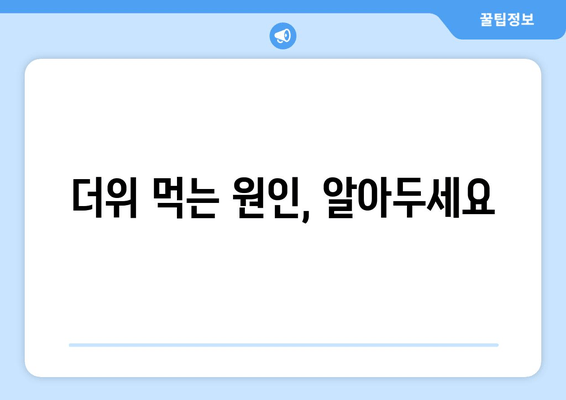 더위 먹는 원인, 알아두세요