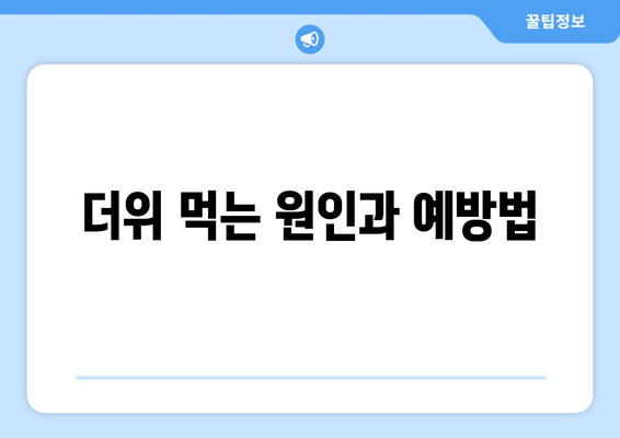 더위 먹는 원인과 예방법