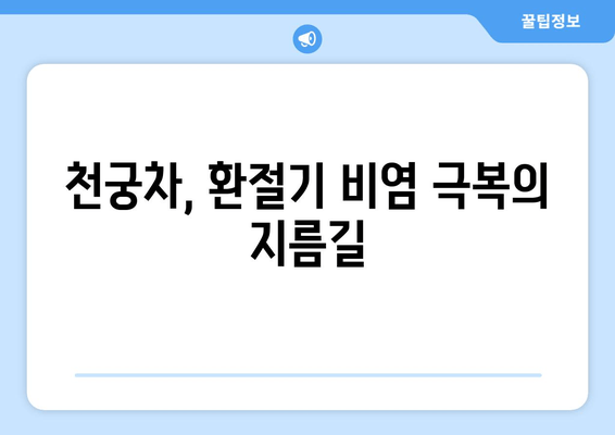 천궁차, 환절기 비염 잡는 한방 비법 | 천궁 효능, 비염 예방, 환절기 건강