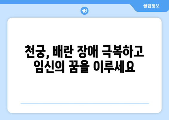 천궁, 임신 한약으로 배란 장애 극복하고 착상 성공률 높이기 | 천궁 효능, 임신 준비, 한약 처방