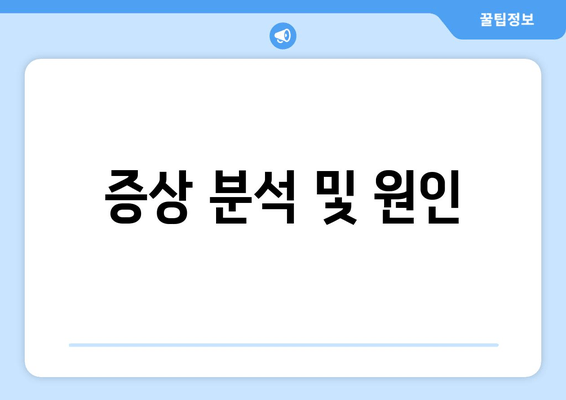 증상 분석 및 원인