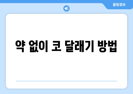 약 없이 코 달래기 방법