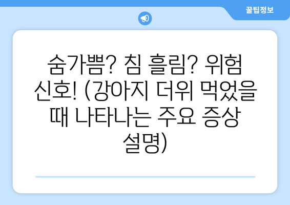 숨가쁨? 침 흘림? 위험 신호! (강아지 더위 먹었을 때 나타나는 주요 증상 설명)