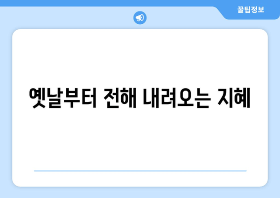 옛날부터 전해 내려오는 지혜