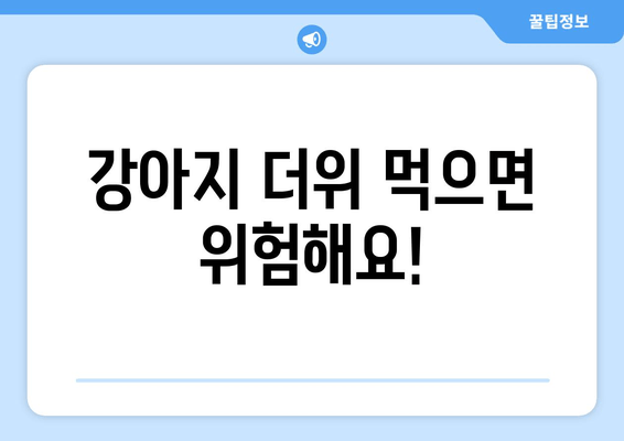 강아지 더위 먹으면 위험해요!