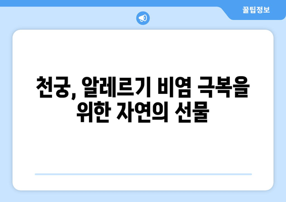 천궁| 알레르기 비염 완화 효과, 한약재의 놀라운 비밀 | 천궁 효능, 알레르기 비염 치료, 한약